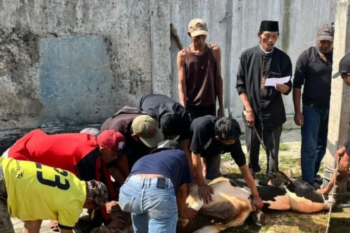 Pelaksanaan Kurban di Kuningan Berjalan Lancar, DPRD Jabar Tinjau Langsung