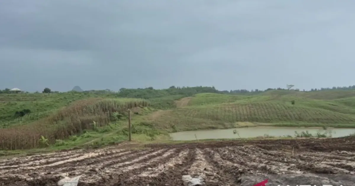 Pemkab Bandung Barat Siapkan Strategi Budidaya Adaptif El Nino 2026