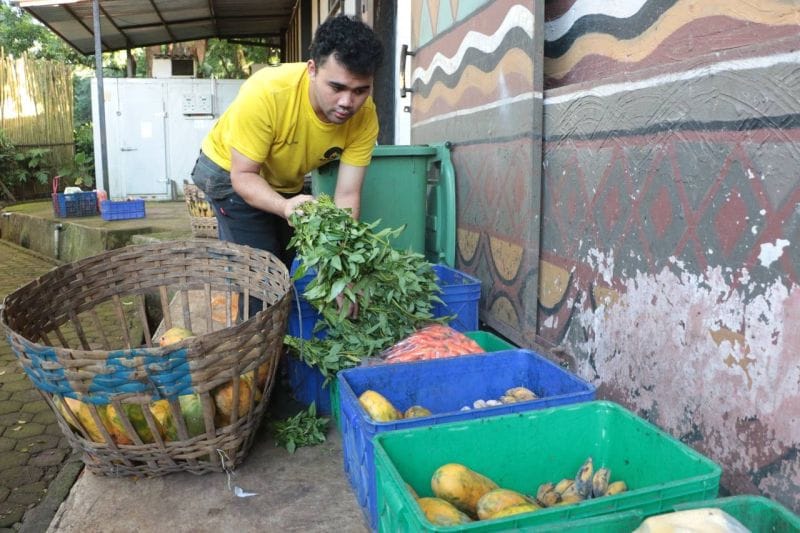 Update Terbaru: Pakan Satwa Bandung Zoo Kini Ditanggung Kemenhut