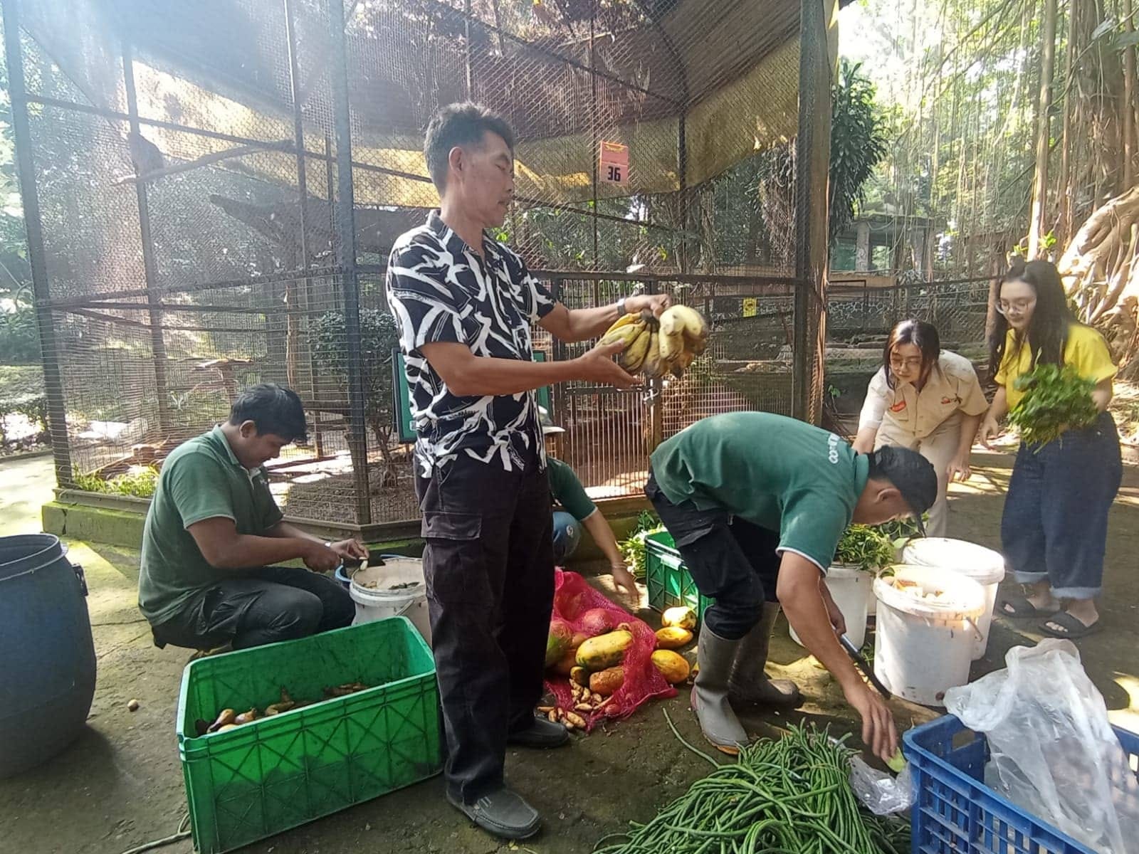 Pengelola Transisi Bandung Zoo Pastikan Pakan 694 Satwa Terpenuhi