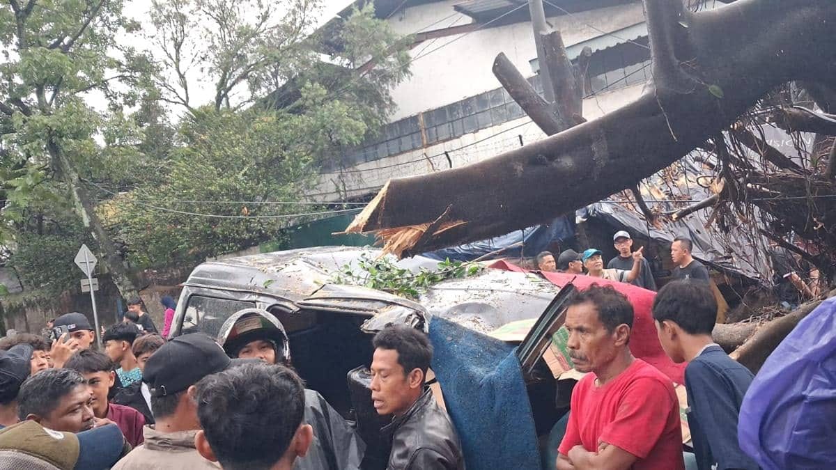 Pengemudi Tewas Saat Pohon Tumbang di Caringin Bandung Cuaca Ekstrem