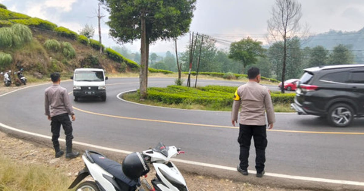 Polisi Bergerak Cepat Usai Tukang Parkir Liar Viral di Kebun Teh Rancabali Bandung
