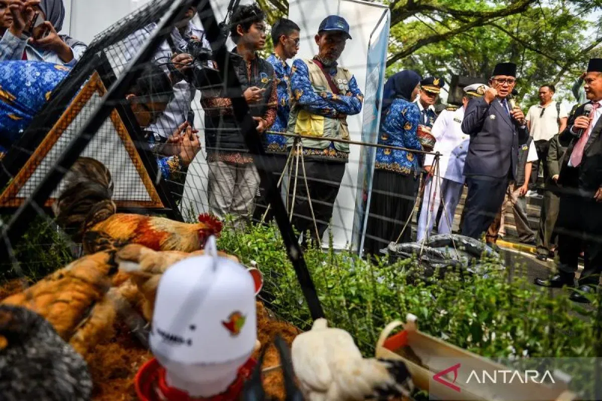 Program Sirkular Bandung Utama: Tangani Sampah, Pangan, Stunting