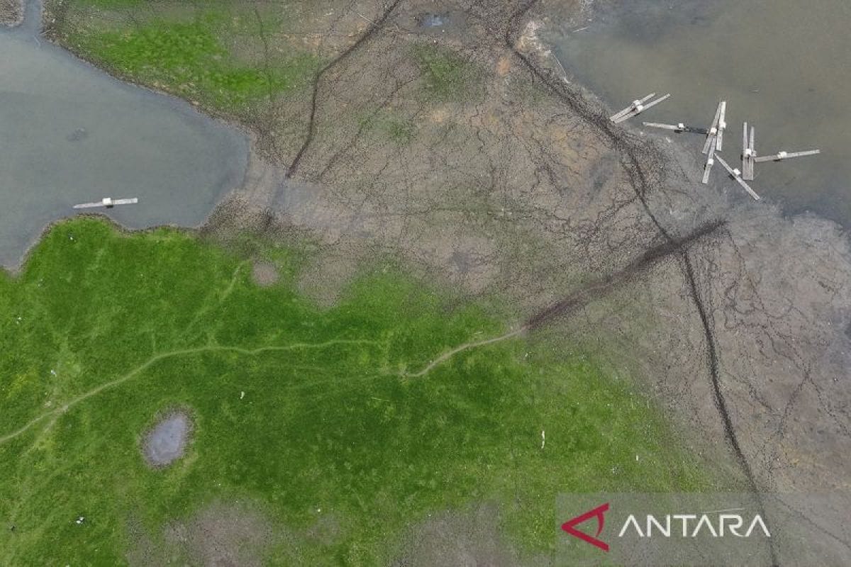 Situ Gede Tasikmalaya yang Tak Biasa: Hamparan Rumput Hijau取代 Air Surut Jadi Daya Tarik Musim Kemarau