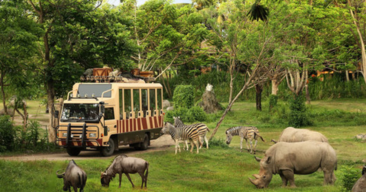 Taman Safari Indonesia Siap Ikut Lelang Kebun Binatang Bandung