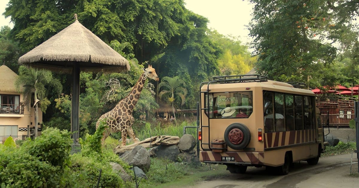 Taman Safari Indonesia Siap Ikut Lelang Kebun Binatang Bandung