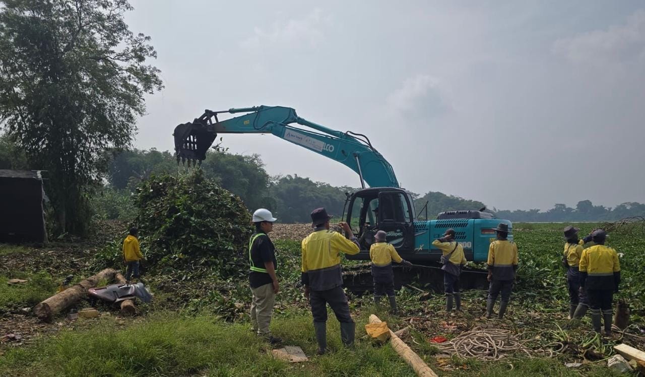 Upaya Kolaborasi Lintas Sektor Atasi Eceng Gondok di Waduk Saguling