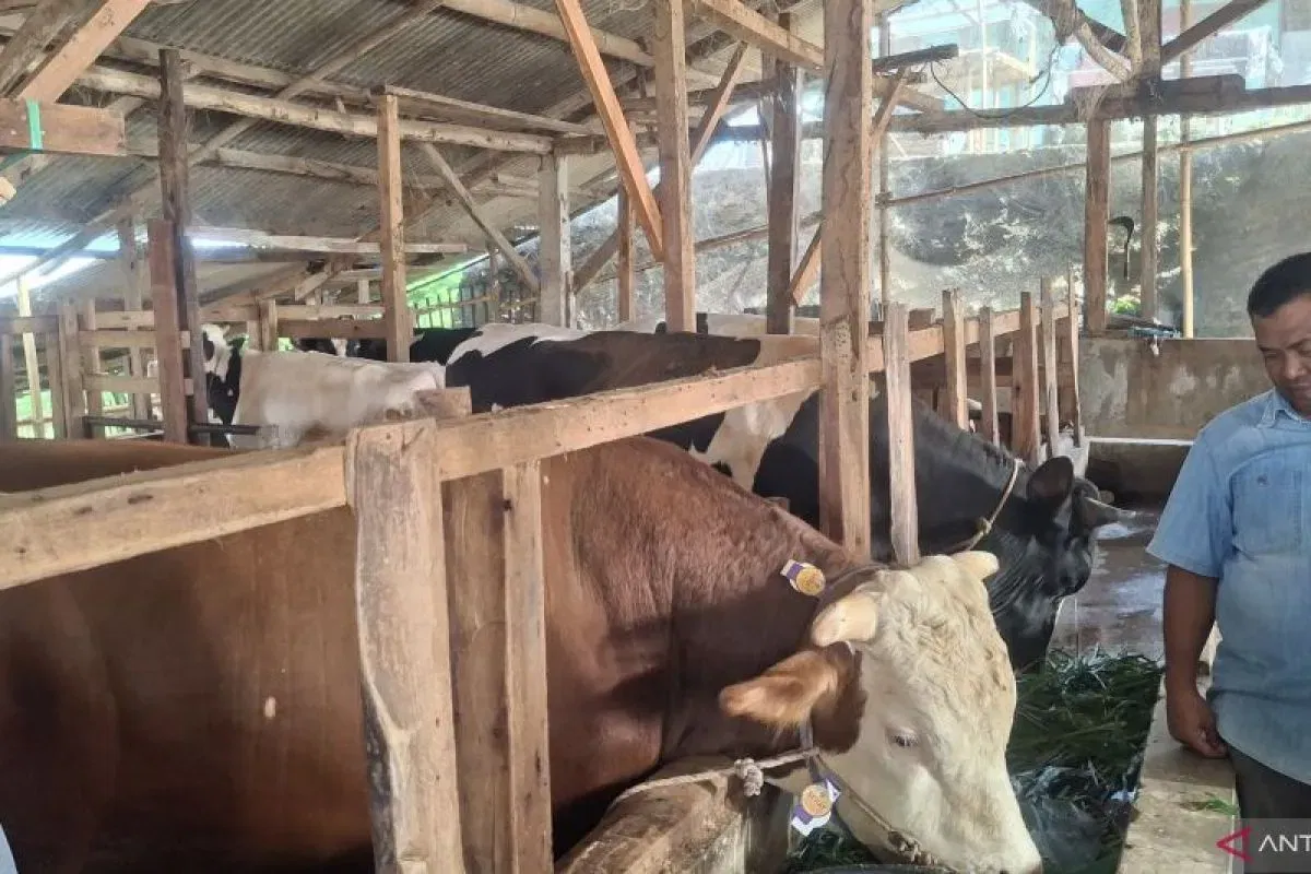 Verifikasi 2.829 Hewan Kurban Sehat di Bandung Barat untuk Idul Adha