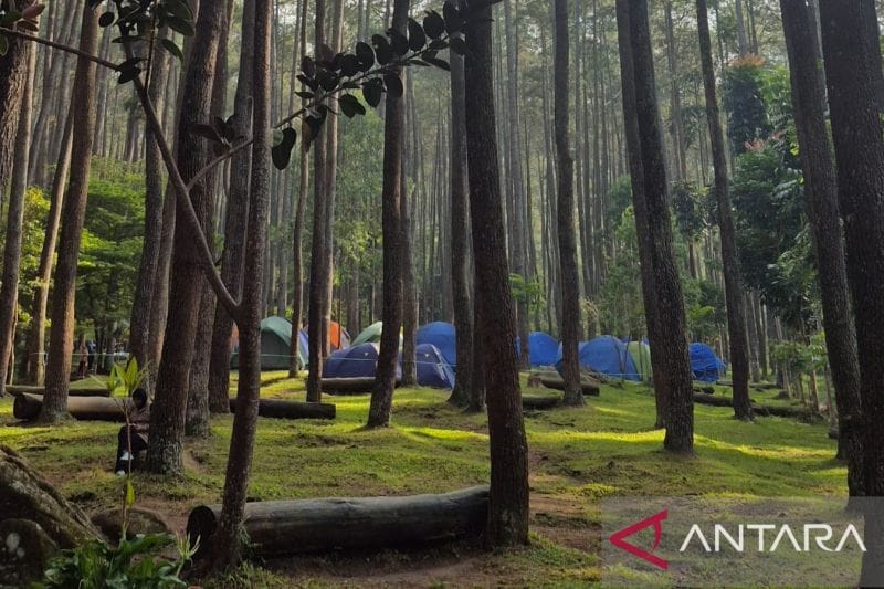 Wisata Bandung Naik Kelas! Cara Pemkab Genjot Kunjungan Berkualitas