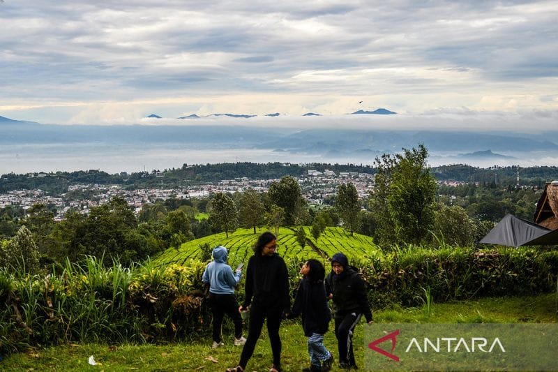 Tahun Baruan 2025: Intip Pesona Camping Pinetrees KBB, Destinasi Viral Wajib Coba!